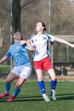 Bild 180 - F Hamburger SV 3 - Blau-Weiss 96 : Ergebnis: 5:1